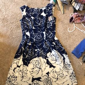 NWT Taylor A Line dress